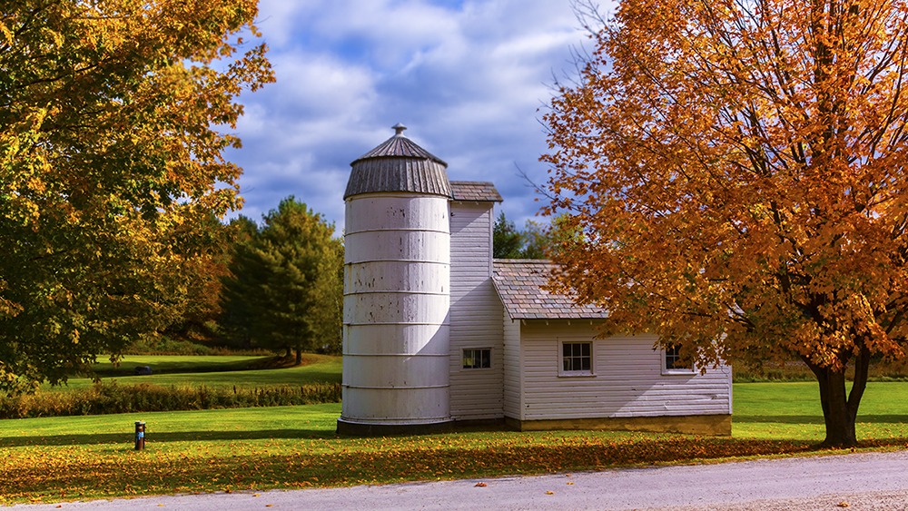 Scenic Vermont Photography